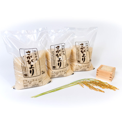 【先行予約】令和7年 佐賀県産さがびより 白米6kg