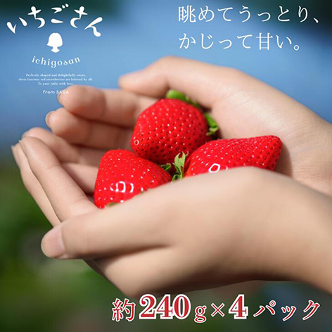 期間限定　佐賀県産 いちごさん 240g×4パック