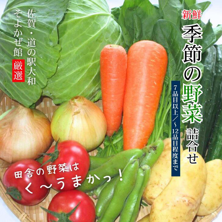 新鮮・季節の野菜詰め合わせ