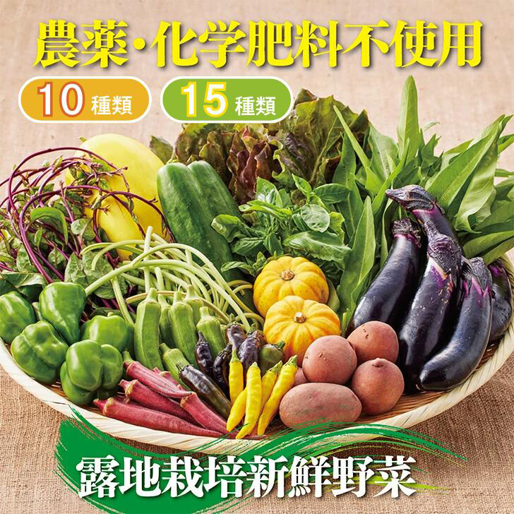 佐賀産季節の旬野菜10～15種類