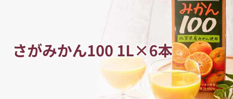 さがみかん100 1L×6本