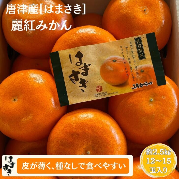 佐賀みかん　【はまさき】麗紅みかん