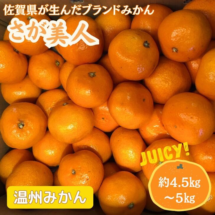 佐賀みかん　さが美人